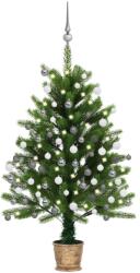 vidaXL Brad de Crăciun artificial LED-uri&globuri, verde, 90 cm (3077724)