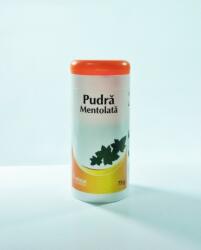 Viva Pharma Pudra mentolata - 75 g - Vitalia