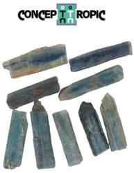  Kyanit Bicolor Brut Natural - 39-48 x 10-16 mm - ( XL ) - 1 Buc