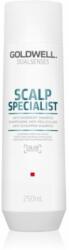 Goldwell Dualsenses Scalp Specialist sampon pentru curatare anti matreata 250 ml