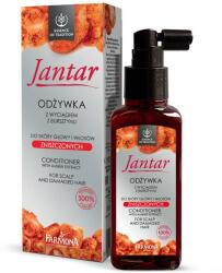 Farmona Natural Cosmetics Laboratory Balsam regenerant pentru scalp și păr deteriorat cu extract de chihlimbar - Farmona Jantar Scalp and Hair Conditioner With Amber Extract 100 ml
