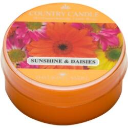 The Country Candle Company Sunshine & Daisies 42 g