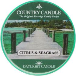 The Country Candle Company Citrus & Seagrass 42 g
