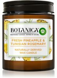Air Wick Botanica Fresh Pineapple & Tunisian Rosemary lumânare parfumată 205 g