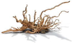 INVITAL Red Moor Wood gyökér készlet S (< 0, 2 kg)