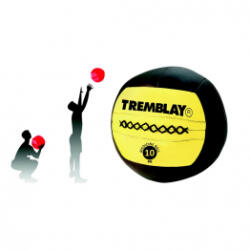 Tremblay Wall Ball 10 kg Negru galben (FI1110)