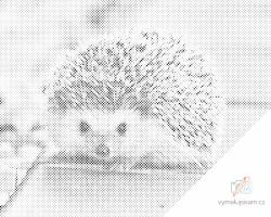 PontPöttyöző - Süni, az éjjeli állatka Méret: 40x50cm, Keretezés: Keret nélkül (csak a vászon), Szín: Piros