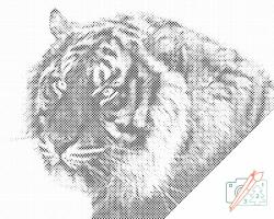 PontPöttyöző - Tigris Méret: 40x50cm, Keretezés: Keret nélkül (csak a vászon), Szín: Fekete