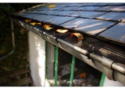 Nortene LEAFPROTEC ereszcsatorna védő háló - 0, 17 x 6 m - fekete - 140084