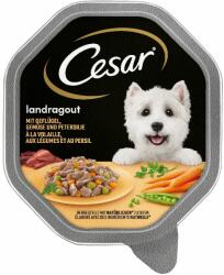 Cesar 28x150g Cesar tálcás megapack nedves kutyatáp-Vidéki ragu: pulyka, marha & fűszernövények