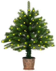 vidaXL Set pom de Crăciun artificial cu LED-uri, verde, 65 cm (3077465)