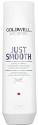 Goldwell Șampon pentru păr neascultător - Goldwell Dualsenses Just Smooth Taming Shampoo 250 ml