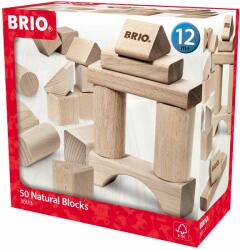BRIO Set Blocuri Din Lemn 50 Piese (BRIO30113) - top10toys