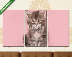 Többrészes Vászonkép, Premium Kollekció: Aranyos fülbevaló baba cica macska ül egy rózsaszín háttér(125x70 cm, L01)
