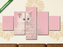 Többrészes Vászonkép, Premium Kollekció: Aranyos fehér baba cica cica csipke kosárban rózsaszín b(135x70 cm, S01)