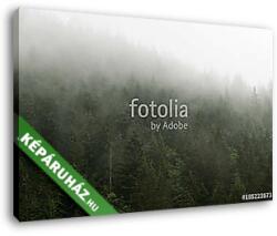 Vászonkép: Premium Kollekció: Forest in the mist(100x65 cm)