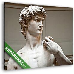  Vászonkép: Partner Kollekció: Michelangelo David szobor(105x85 cm)