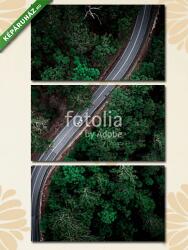 Többrészes Vászonkép, Premium Kollekció: Áttekintés erdészeti hajtás(125x70 cm, L01)