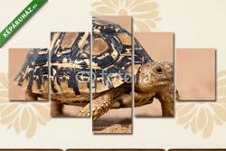  Többrészes Vászonkép, Premium Kollekció: Leopárd teknős lassan, homokos, védőhéjjal járva(135x70 cm, S01)