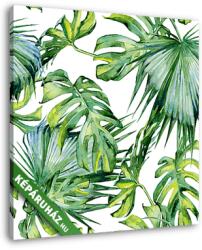 Vászonkép: Premium Kollekció: Trópusi sűrű levelek(145x145 cm)