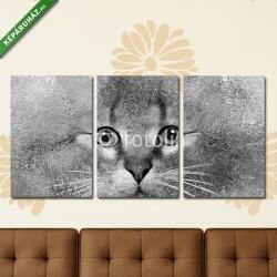 Többrészes Vászonkép, Premium Kollekció: Absztrakt portré a macska (olajfestmény reprodukció)(125x60 cm, L02)