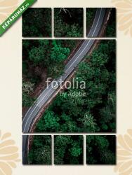Többrészes Vászonkép, Premium Kollekció: Áttekintés erdészeti hajtás(135x80 cm, W01)
