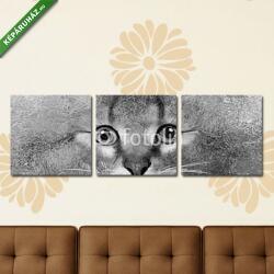 Többrészes Vászonkép, Premium Kollekció: Absztrakt portré a macska (olajfestmény reprodukció)(125x40 cm, B01)