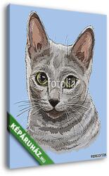 Vászonkép: Premium Kollekció: Orosz kék cica (akvarell)(115x145 cm)