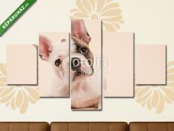 Többrészes Vászonkép, Premium Kollekció: Aranyos francia bulldog kiskutya fekszik egy creme színű backgro(135x70 cm, S01)