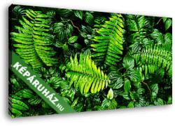 Vászonkép: Premium Kollekció: trópusi zöld levelek(145x80 cm)