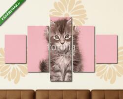 Többrészes Vászonkép, Premium Kollekció: Aranyos fülbevaló baba cica macska ül egy rózsaszín háttér(135x70 cm, S01)