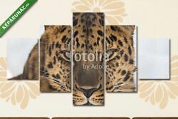 Többrészes Vászonkép, Premium Kollekció: Portrait of the far Eastern leopard(135x70 cm, S01)