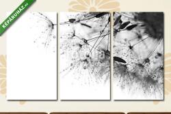 Többrészes Vászonkép, Premium Kollekció: Black and white photo with the dandelions . Macro of dandelion w(125x70 cm, L01)