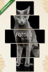 Többrészes Vászonkép, Premium Kollekció: Portré egy orosz kék macskáról(135x70 cm, S01)
