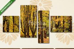 Többrészes Vászonkép, Premium Kollekció: Színes lombozat az őszi parkban(125x70 cm, S02)