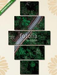 Többrészes Vászonkép, Premium Kollekció: Áttekintés erdészeti hajtás(135x70 cm, S01)