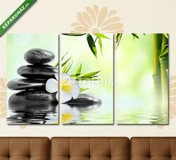 Többrészes Vászonkép, Premium Kollekció: spa masszázs, kertben frangipánnal és bambusz(125x70 cm, L01)