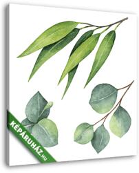Vászonkép: Premium Kollekció: Watercolor hand painted set with eucalyptus leaves and branches. (145x145 cm)