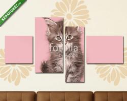 Többrészes Vászonkép, Premium Kollekció: Aranyos fülbevaló baba cica macska ül egy rózsaszín háttér(125x70 cm, S02)