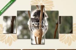 Többrészes Vászonkép, Premium Kollekció: Ausztrál koalámpa aludni(135x70 cm, S01)