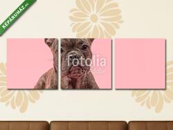 Többrészes Vászonkép, Premium Kollekció: aranyos francia bulldog kutya rózsaszín háttérrel(125x40 cm, B01)
