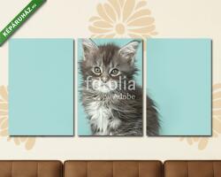 Többrészes Vászonkép, Premium Kollekció: Aranyos füles baba macska, kék háttér(125x60 cm, L02)