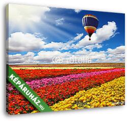 Vászonkép: Premium Kollekció: Tulipánmező felett(145x110 cm)