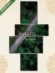 Többrészes Vászonkép, Premium Kollekció: Áttekintés erdészeti hajtás(125x70 cm, S02)