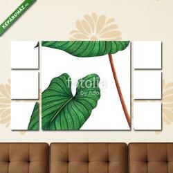  Többrészes Vászonkép, Premium Kollekció: Watercolor painting green leaves, palm leaf isolated on white bac(135x80 cm, W01)