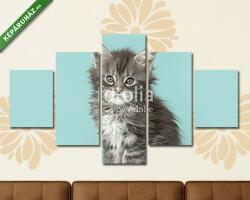 Többrészes Vászonkép, Premium Kollekció: Aranyos füles baba macska, kék háttér(135x70 cm, S01)