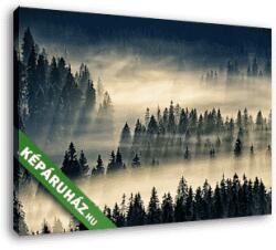 Vászonkép: Premium Kollekció: tűlevelű erdő a ködös hegyekben(30x20 cm)