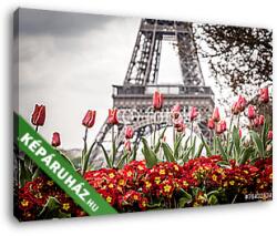 Vászonkép: Premium Kollekció: Tulipánok és Eiffel-torony(145x95 cm)
