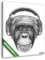  Vászonkép: Premium Kollekció: Portrait of Monkey with headphones. Hand drawn illustration. (135x145 cm)