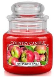 The Country Candle Company Macintosh Apple 652 g